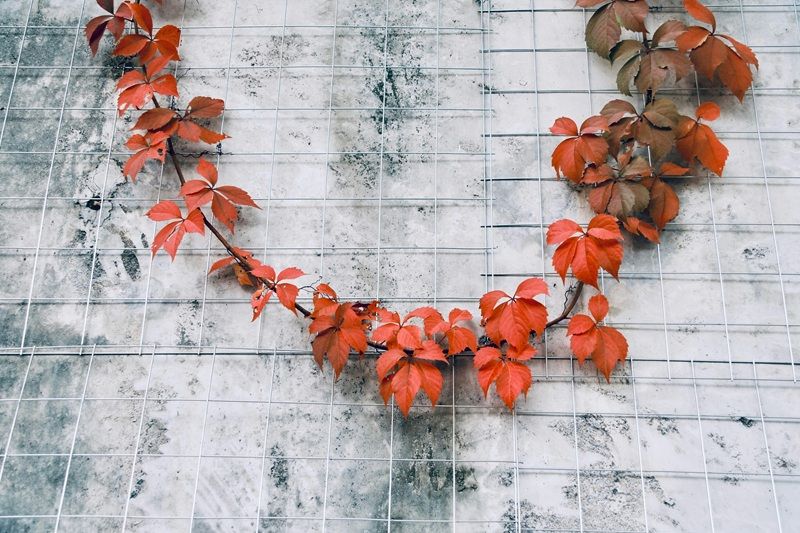 Отделка композитным материалом